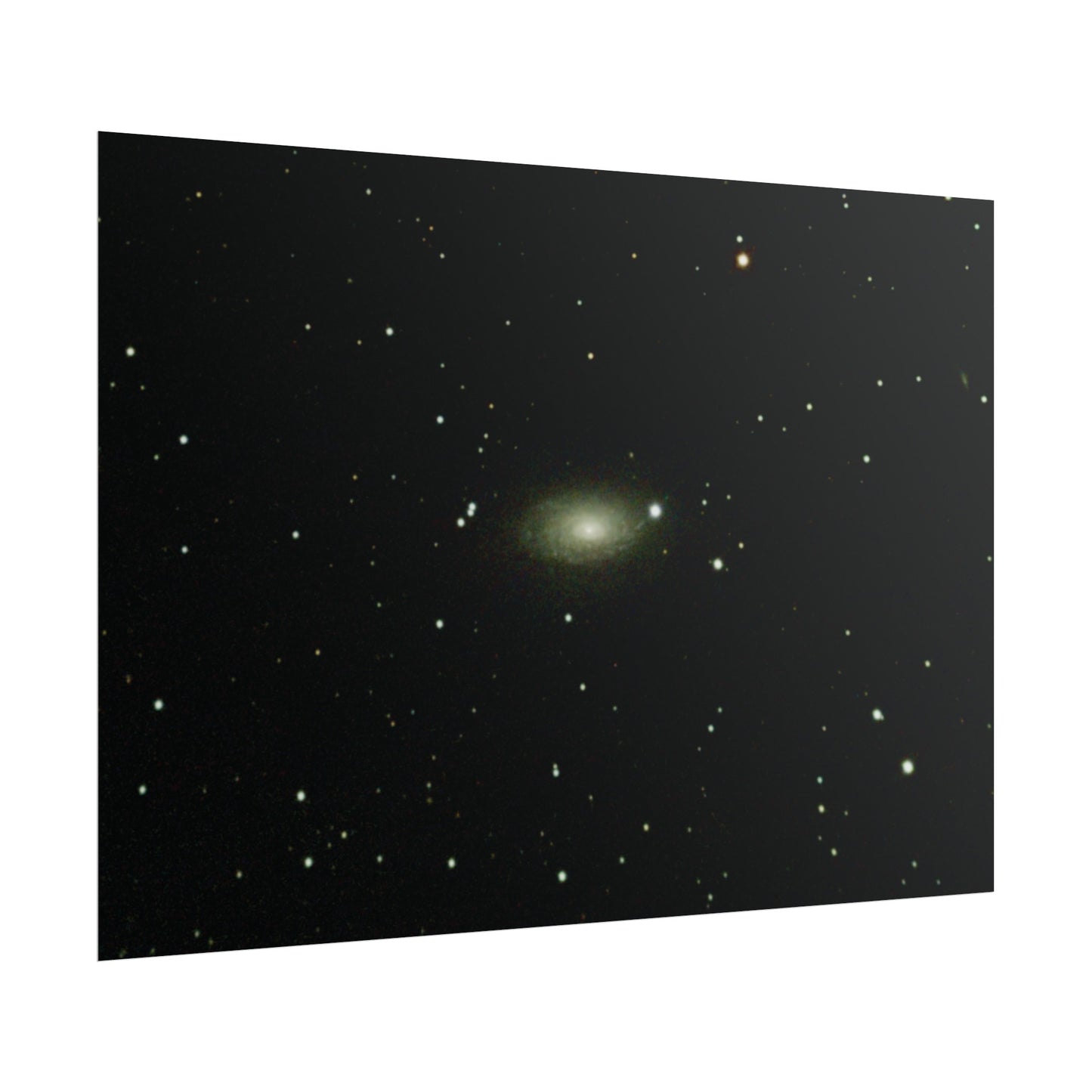 Sunflower Galaxy Poster