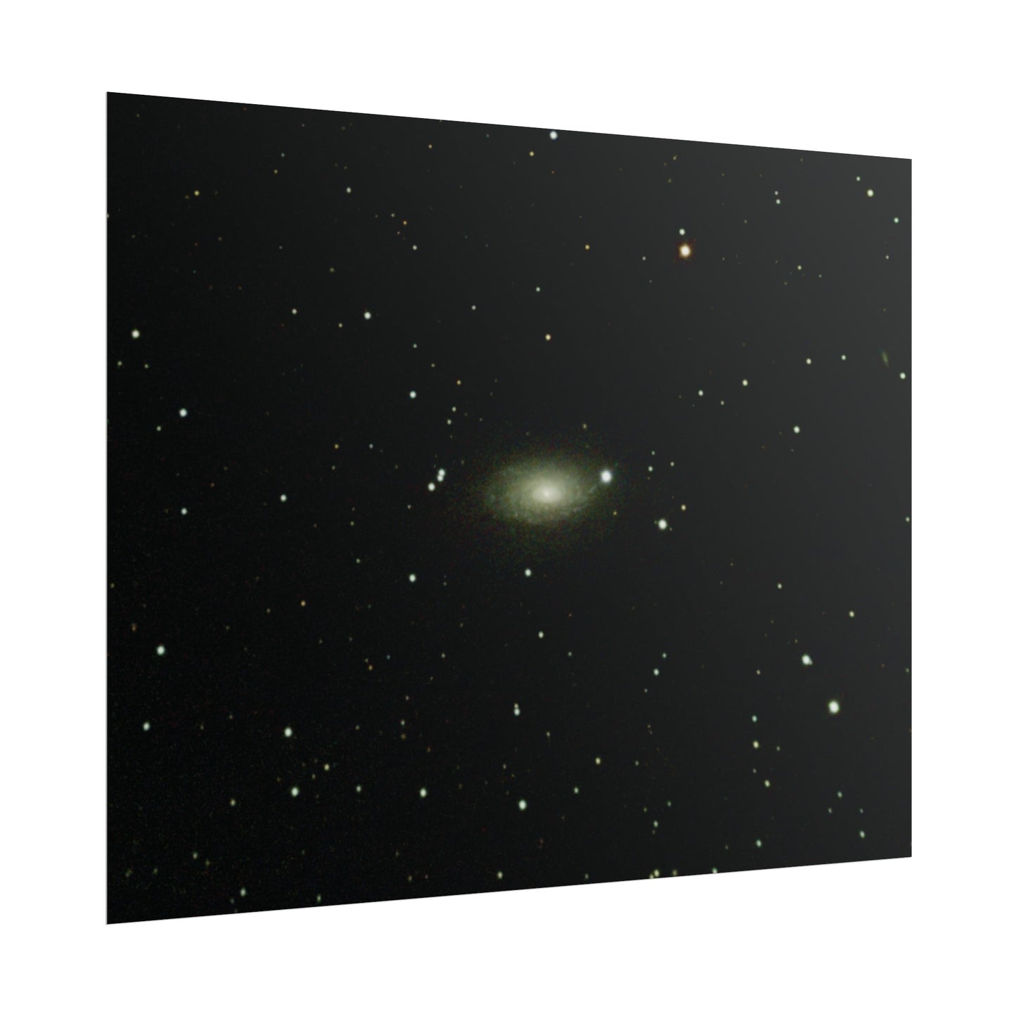 Sunflower Galaxy Poster