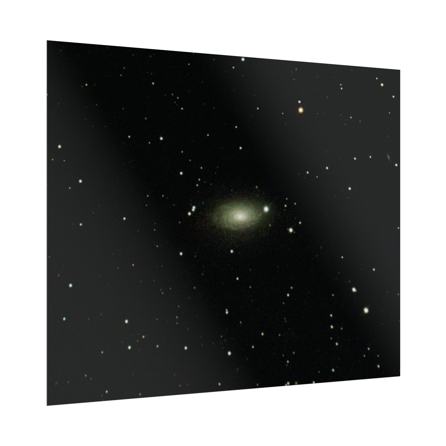 Sunflower Galaxy Poster