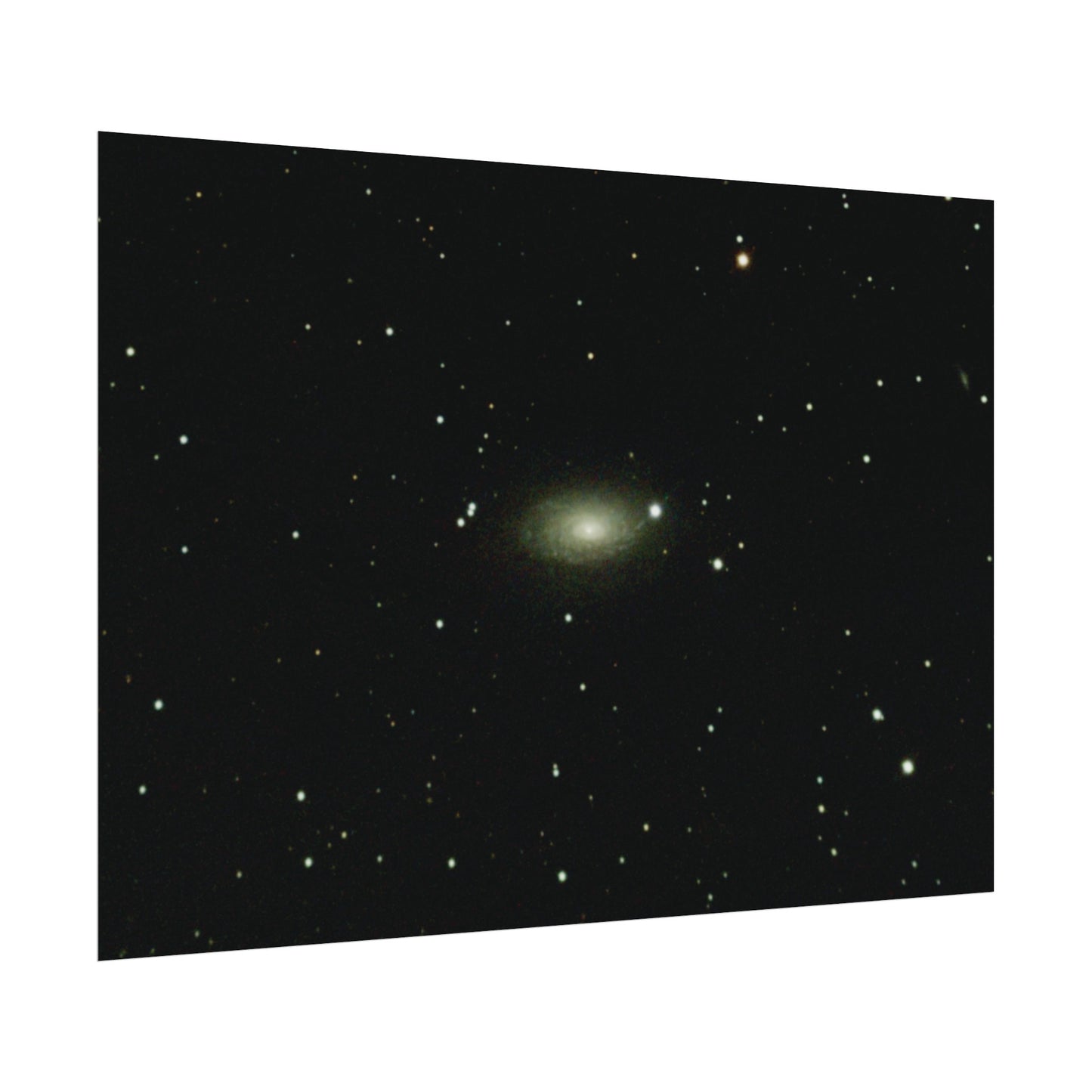 Sunflower Galaxy Poster
