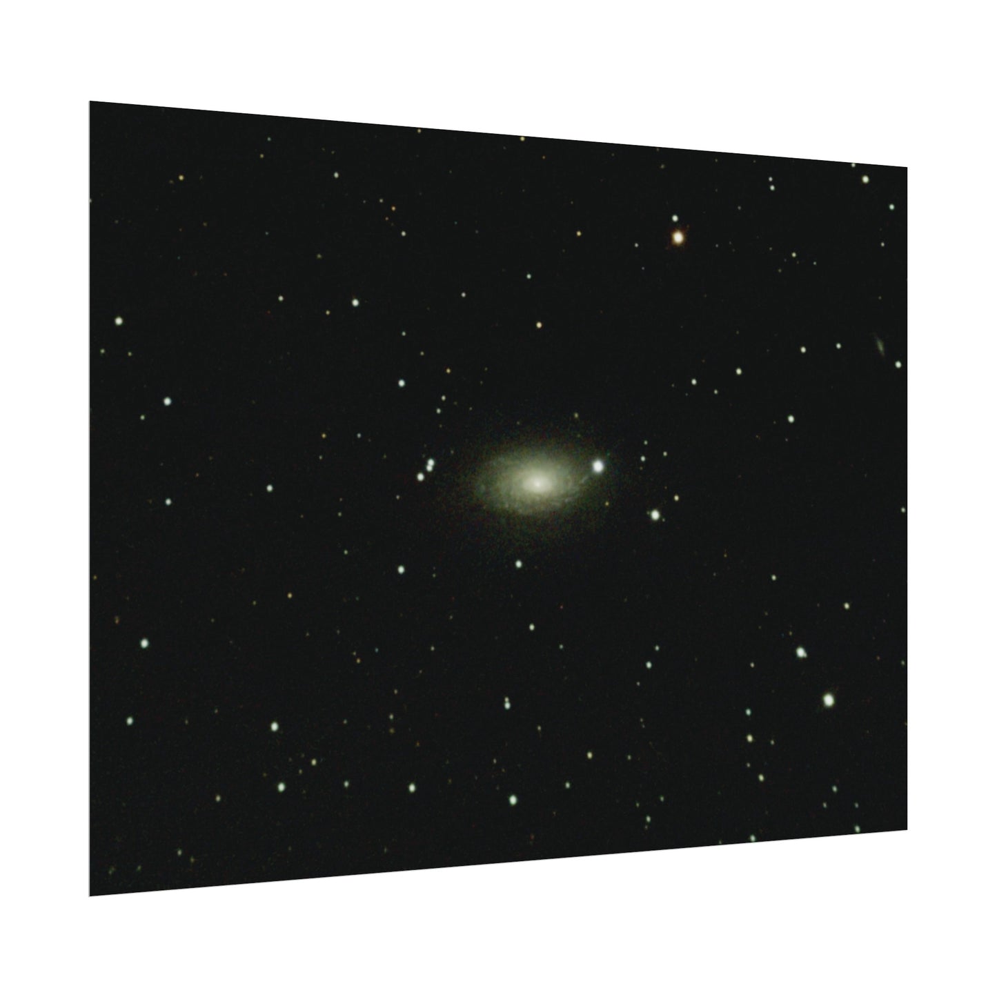 Sunflower Galaxy Poster