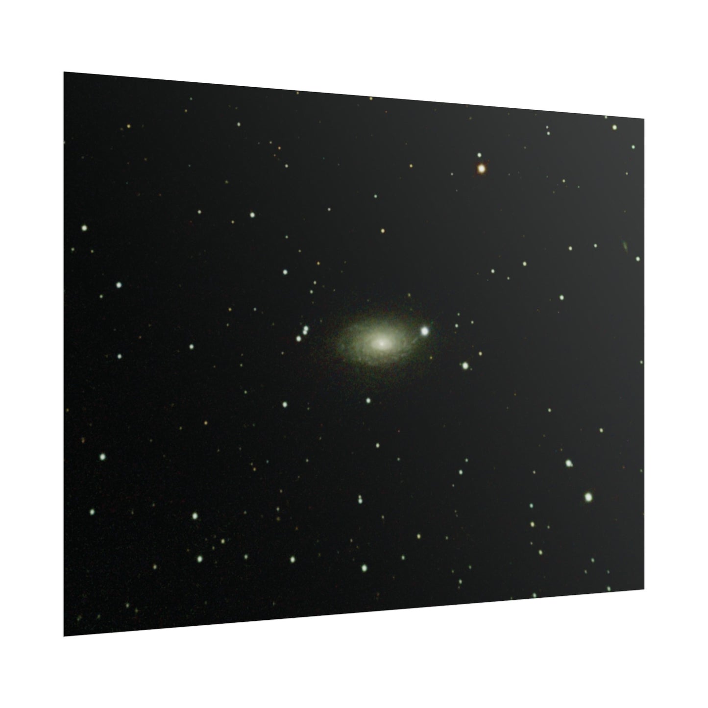 Sunflower Galaxy Poster