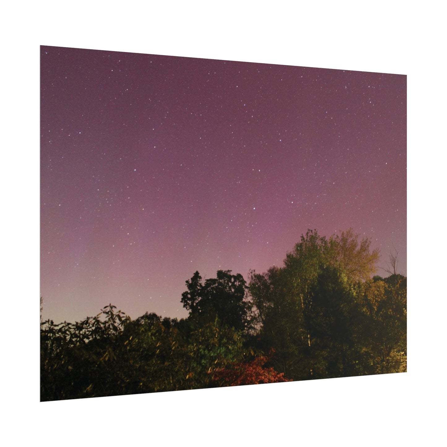 Connecticut Auroras Poster