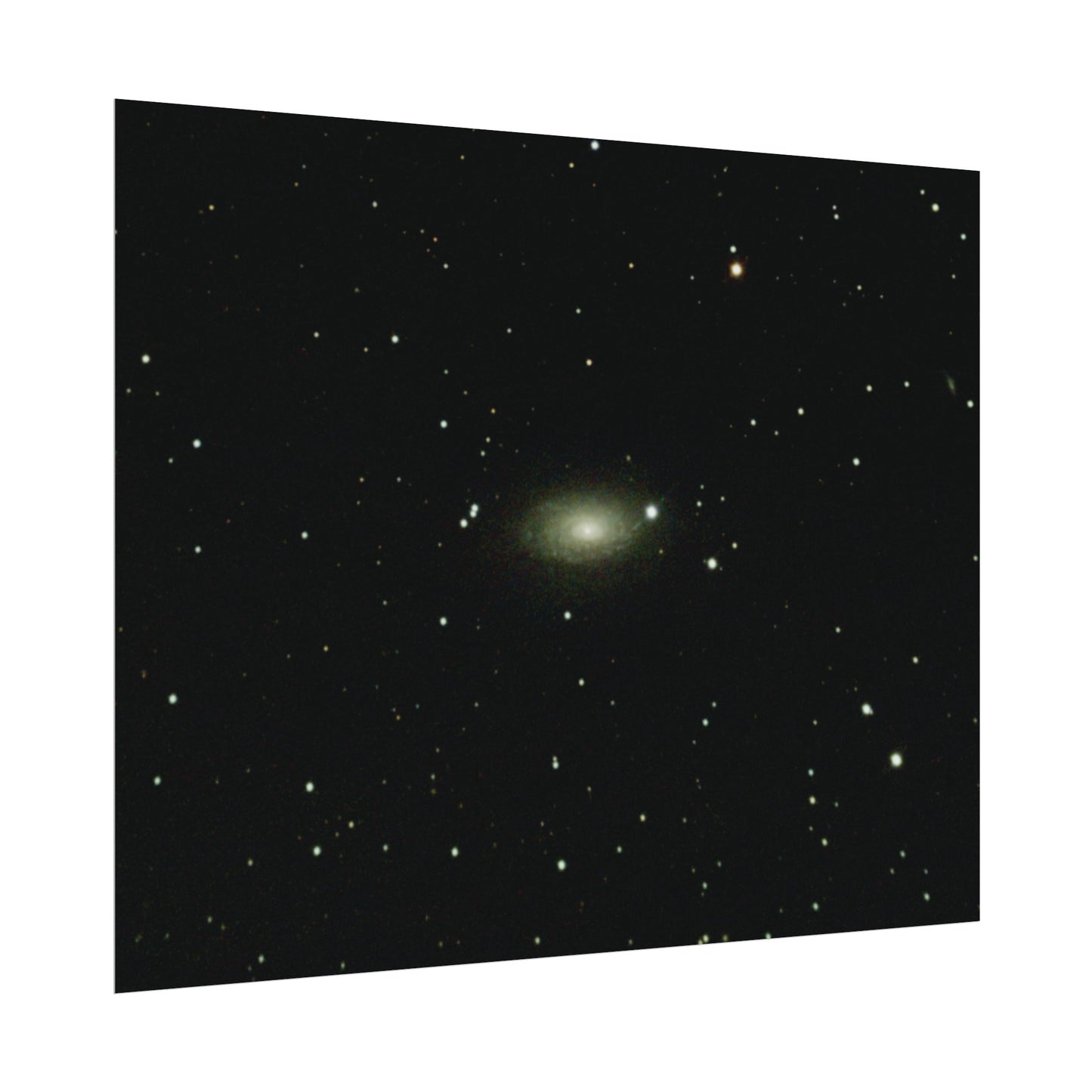 Sunflower Galaxy Poster