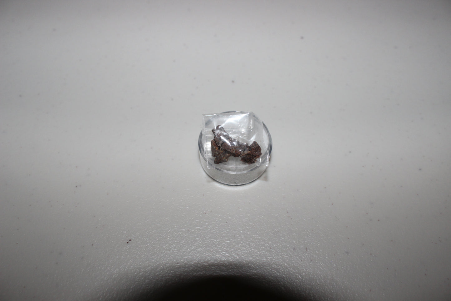 NWA 2883 Meteorite Fragment (L5)