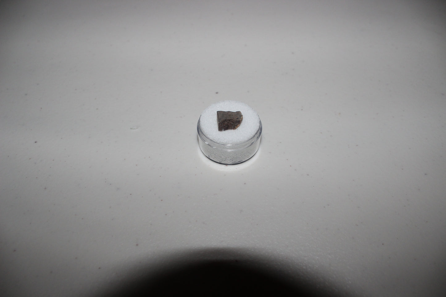 NWA 4528 Meteorite Fragment (H5)