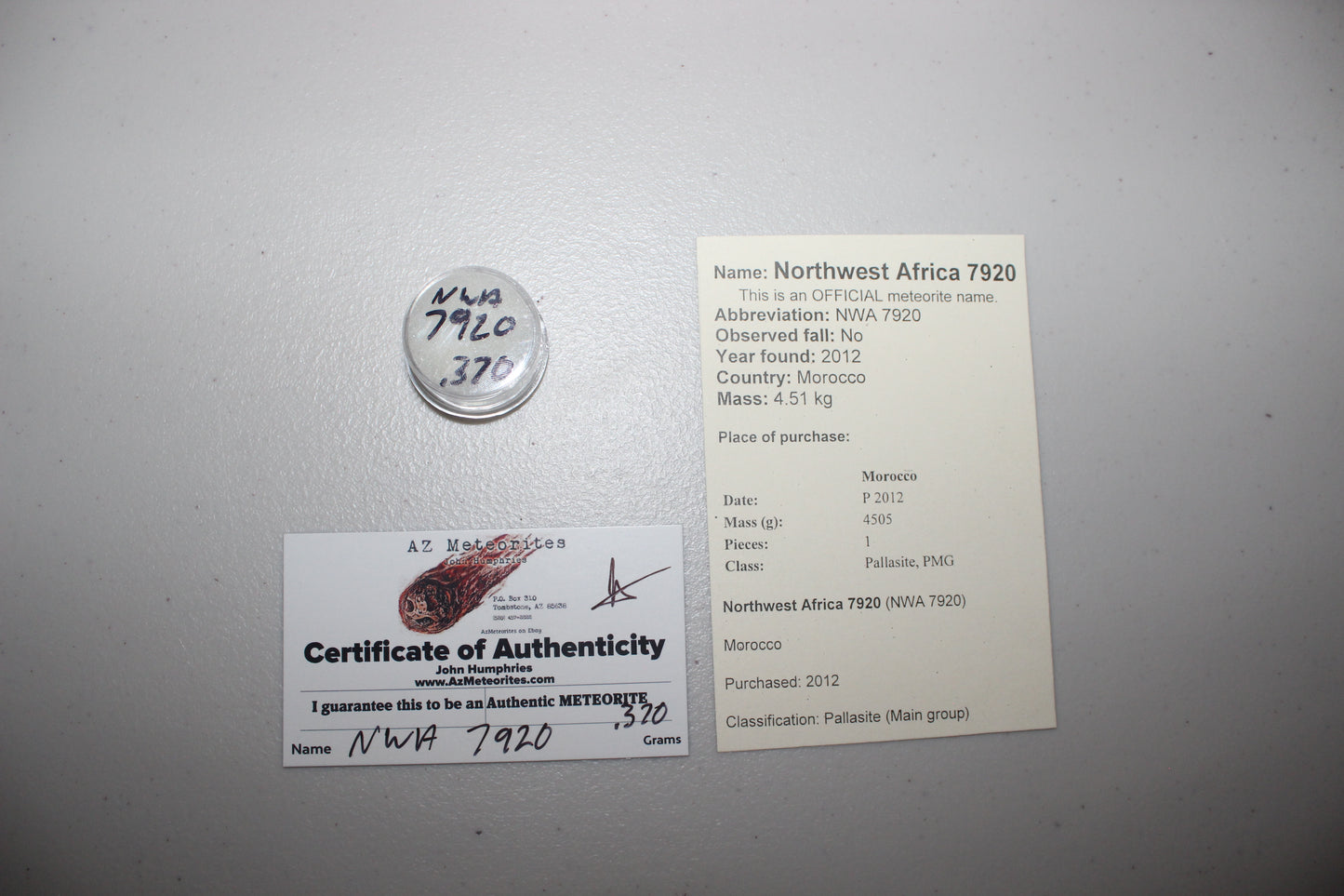NWA 7920 Meteorite Fragment (Pallasite)