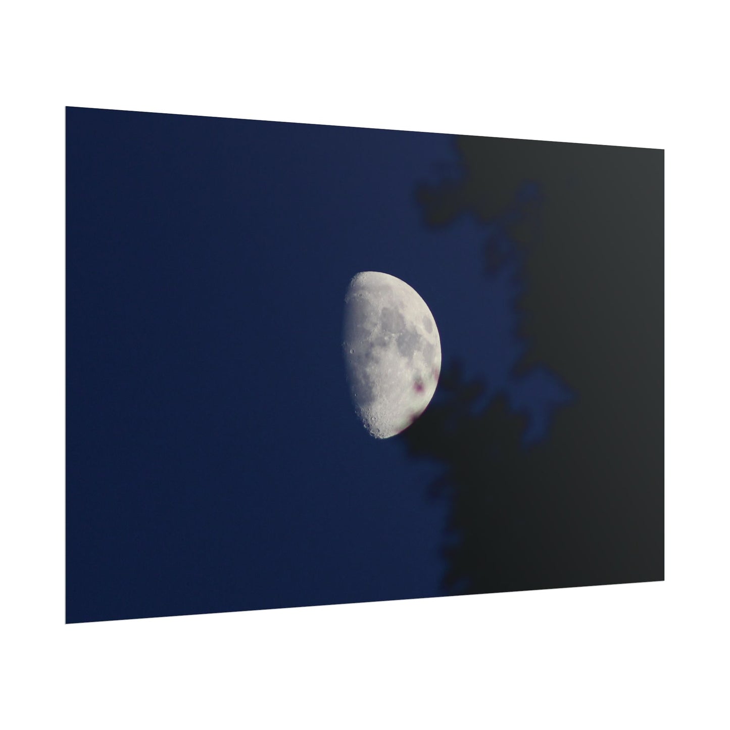 Moon And Trees Poster