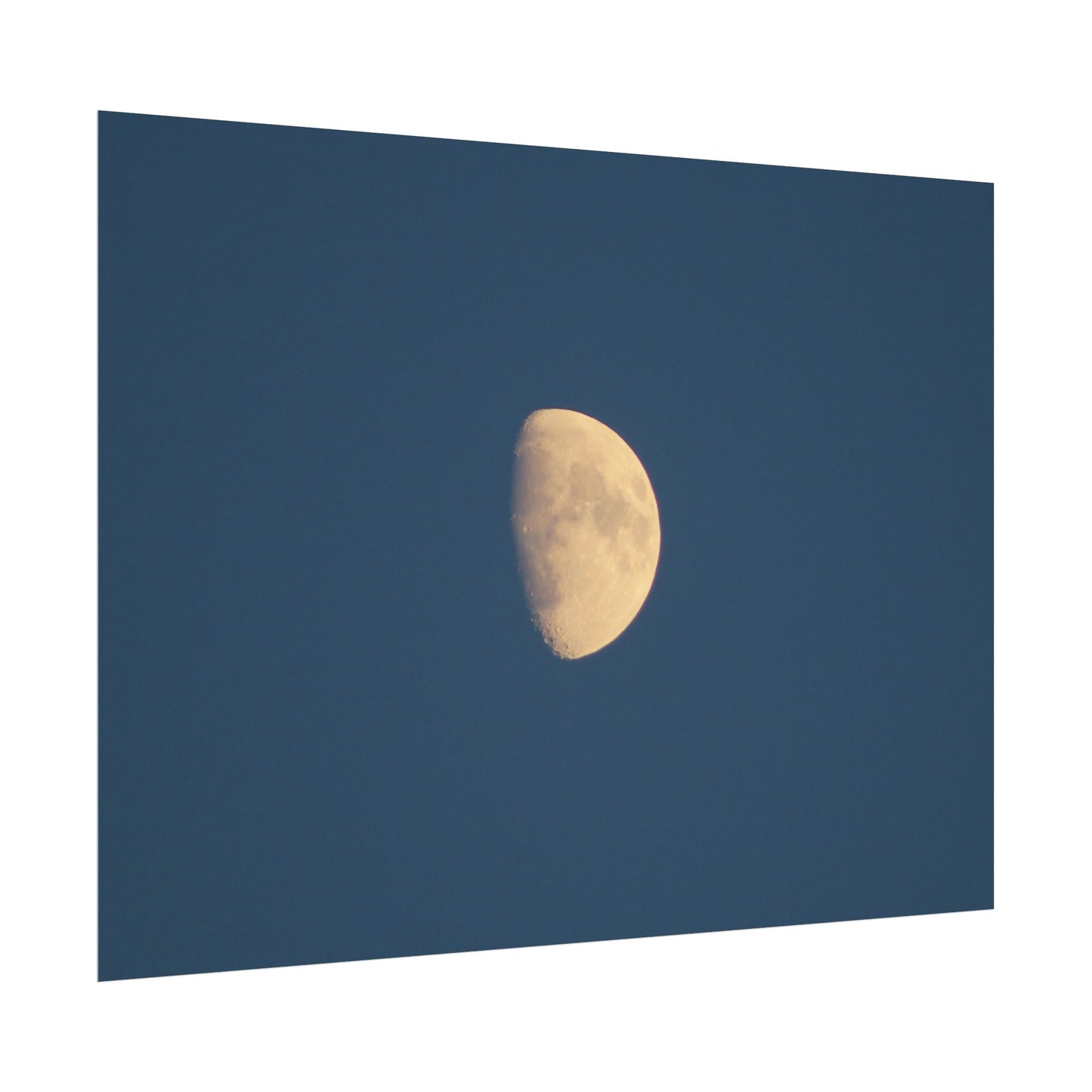 Golden Moon At Sunset Poster