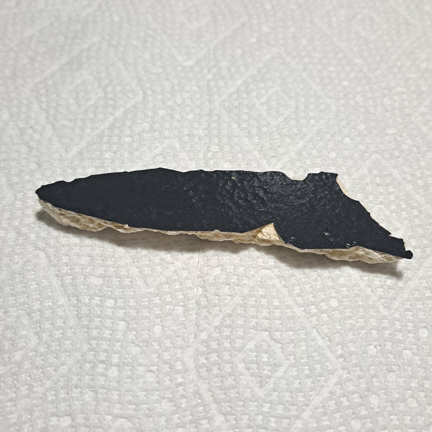 SpaceX Starship S24 Heat Shield Tile Fragment