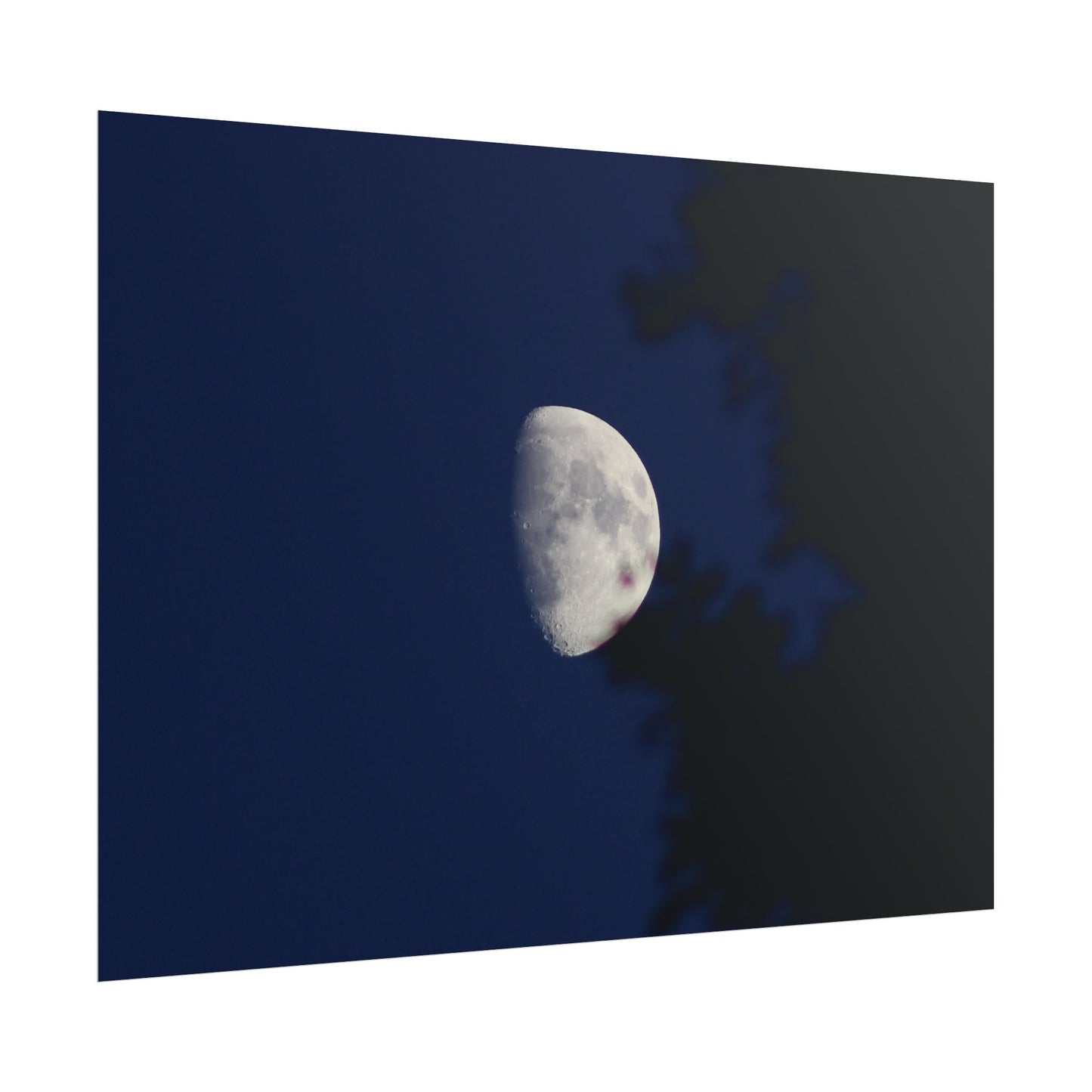 Moon And Trees Poster