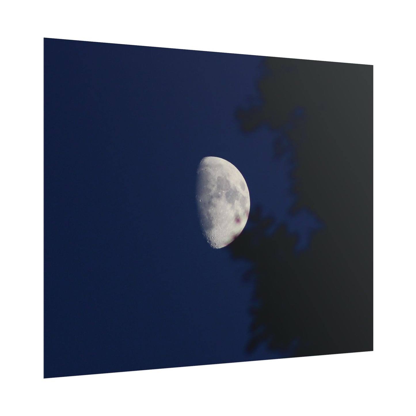 Moon And Trees Poster