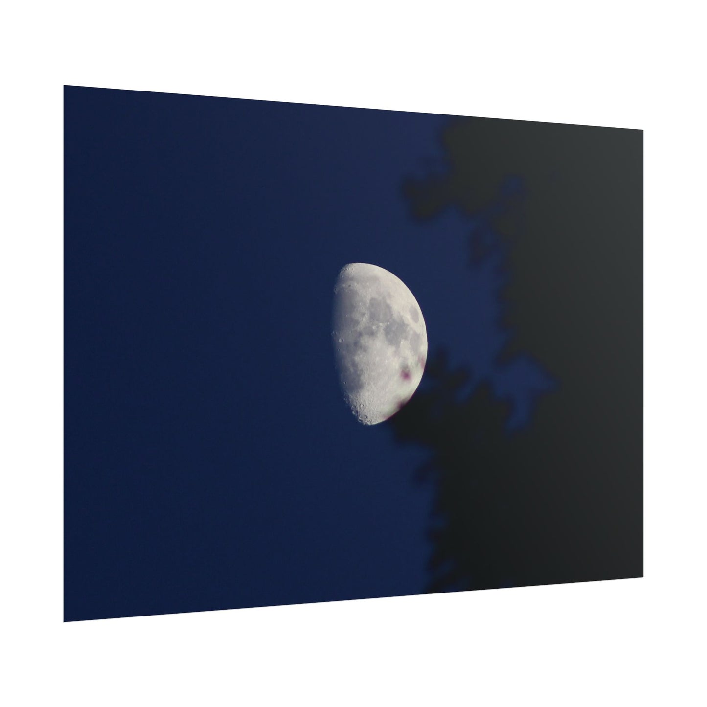 Moon And Trees Poster