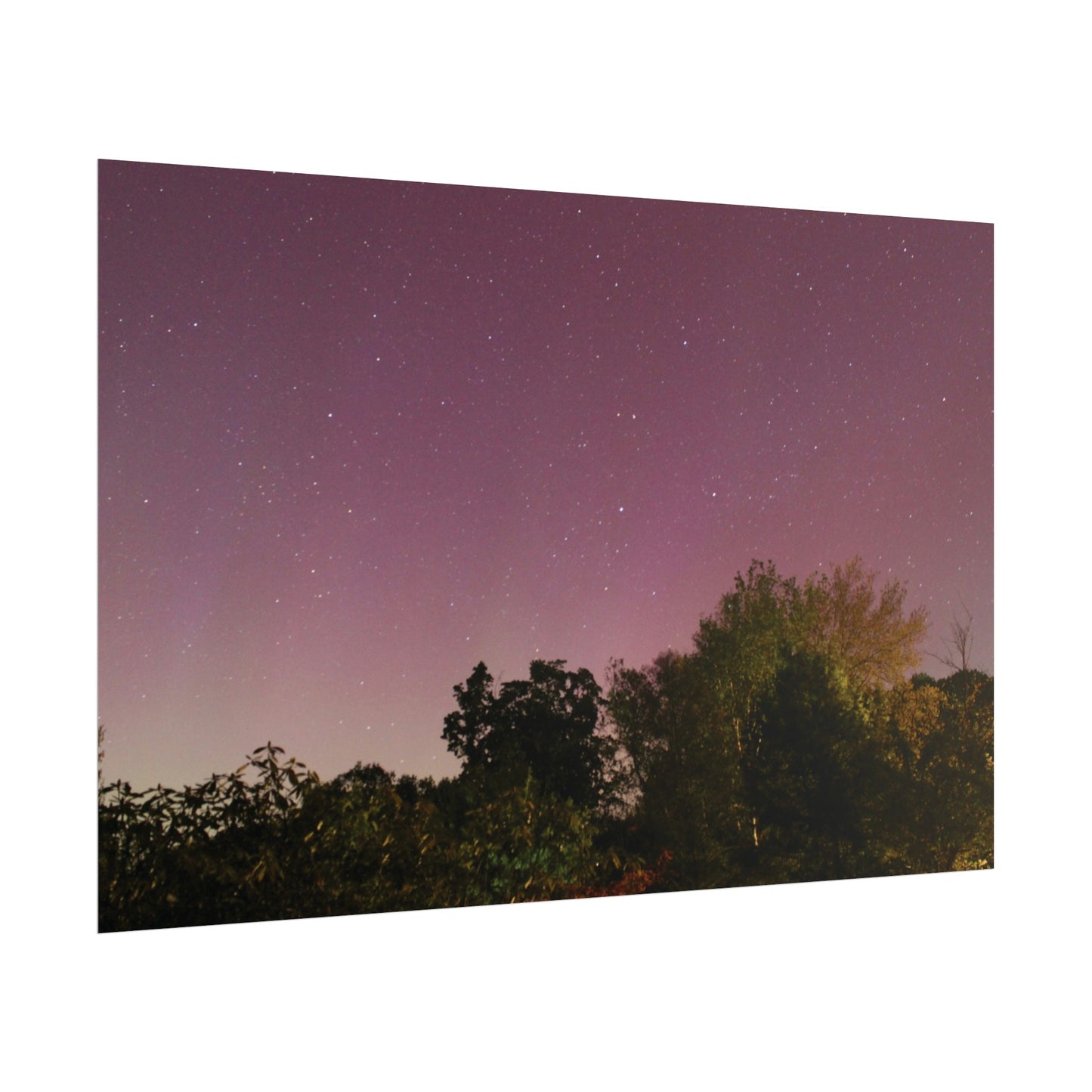 Connecticut Auroras Poster